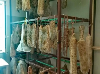 Agroturizam Stefanic