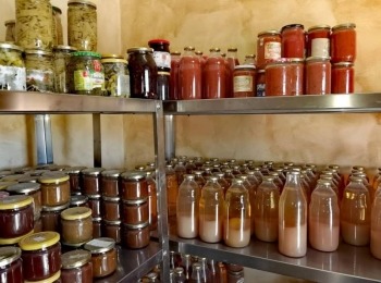 Agroturizam Stefanic