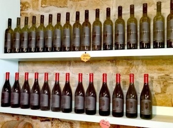 Agroturizam Stefanic