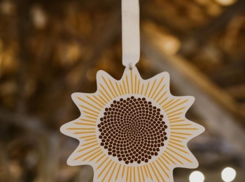 Suncokret ruralnog turizma 10