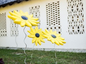 Suncokret ruralnog turizma 13