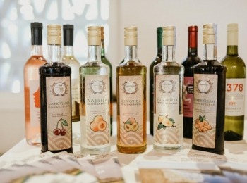 Suncokret ruralnog turizma 15