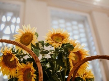 Suncokret ruralnog turizma 17