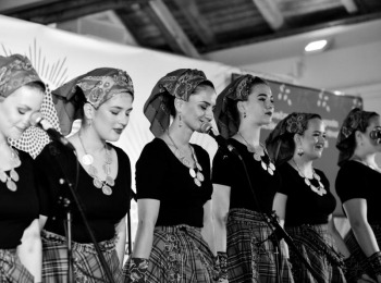 Suncokret ruralnog turizma 6