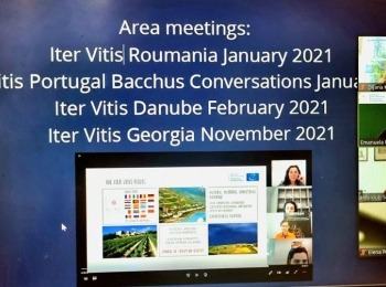 264012384 5130261577001963 411765308368224116 n