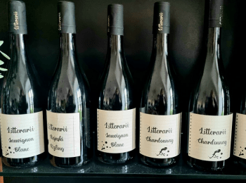 329270446 1219191908980022 1963001814294240456 n