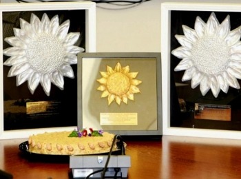 338014850 906490833921448 2787150297102621151 n