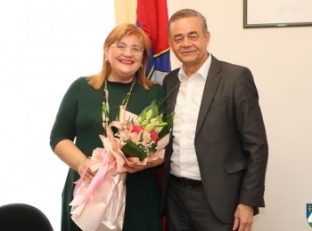Suncokret 7