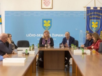 Zlatni-suncokret-13