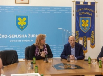 Zlatni-suncokret-1