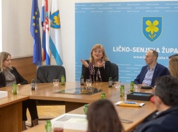 Zlatni-suncokret-6