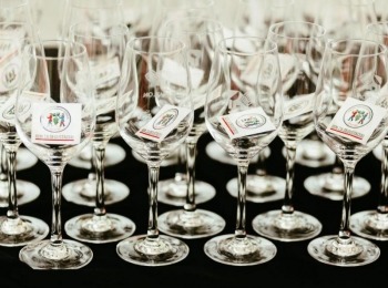 Nenad mili vinatlon 14