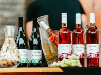 Nenad mili vinatlon 17