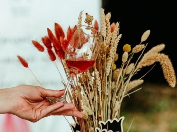 Nenad mili vinatlon 18