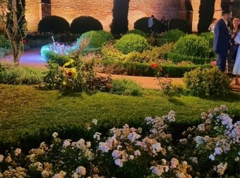 347424848 6593329077390523 2221658560900977849 n