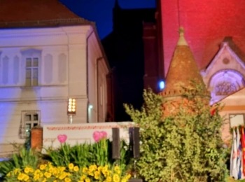 347595972 6593328210723943 1692509215580479238 n