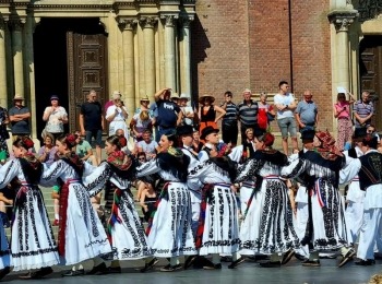 347422769 6598589226864508 7019998152220592786 n