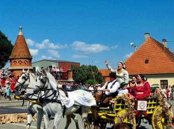 347430012 6598601506863280 8183582745409466738 n