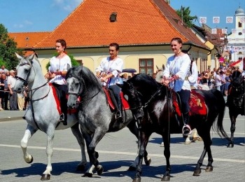 347430398 6598603133529784 6535690620635253374 n