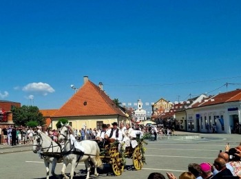 347432854 6598614880195276 5823690907696910692 n