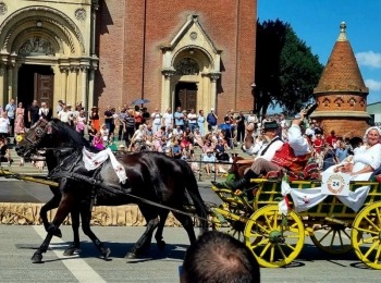 347436731 6598616420195122 7257029167532232579 n