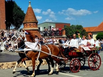 347554140 6598616810195083 2800842701578550136 n