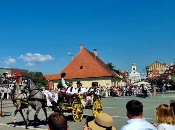 347581230 6598615540195210 4570640213513143244 n