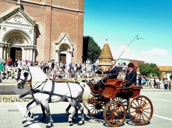 347582731 6598614583528639 6186295470085606451 n