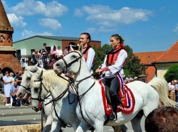 347584968 6598601733529924 4123807248529142154 n