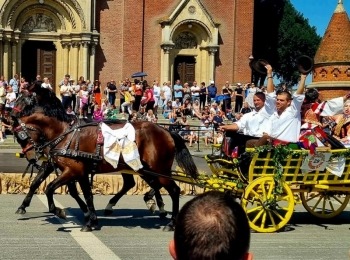 347587889 6598601303529967 3264647583821646469 n