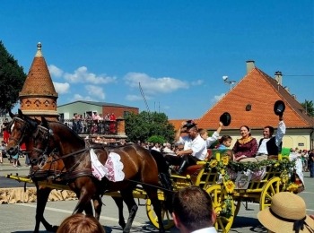 356190552 6598601613529936 1289917399072112015 n