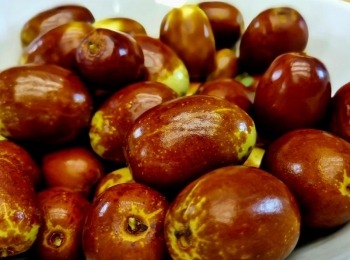 376789992 6845171232206305 2660159642605993082 n