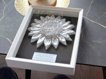 417425833 7310778382312252 488811535069388396 n