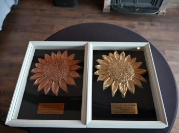 417703536 7310776265645797 22091036287976775 n