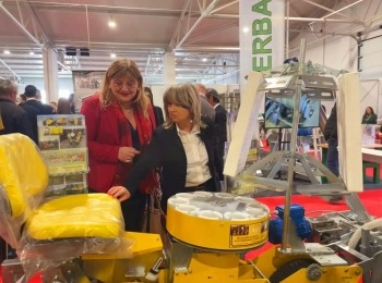 417590500 7414273828629373 5032248654774781420 n