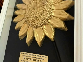 419299119 7515835841806504 1985494173017146301 n