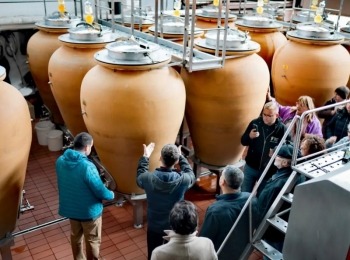 464139539 18255379873266509 3354091524558381665 n