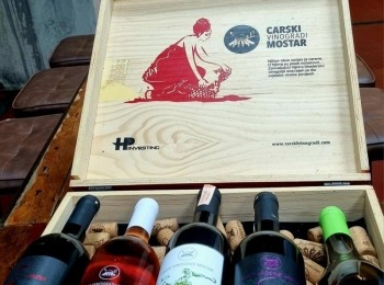 485365542 1081332187369381 3436725220920268551 n