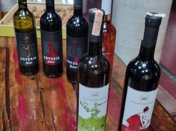 485613130 1081332264036040 1488141827747626136 n