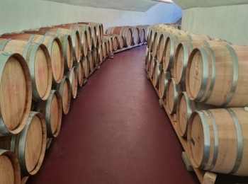 485909069 1081332324036034 4256699623947858316 n