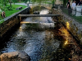 485910895 1081332307369369 4144775204085196944 n