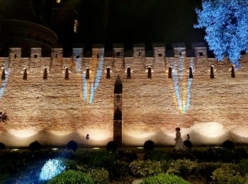 485877038 1081337454035521 2712265779832344676 n