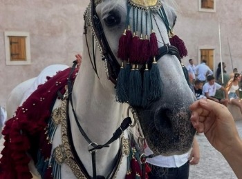 485391851 1082384553930811 7588121336432636794 n