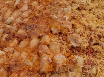 485742618 1083314390504494 4034426227173826436 n