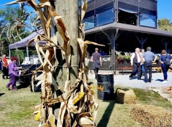 486056031 1083524317150168 8812969273311986579 n