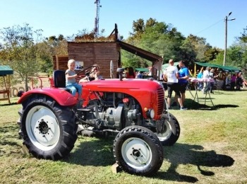 486140286 1083524270483506 5099307310793692045 n