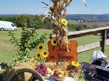 486318217 1083523883816878 6723968721281780292 n