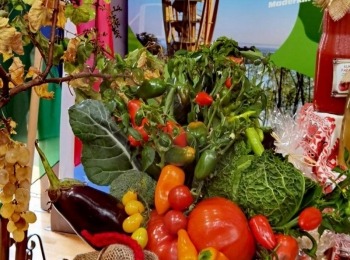 493730529 1228720399261496 7373691054769229445 n