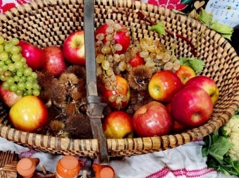 494068854 1228720292594840 1815623198856606911 n