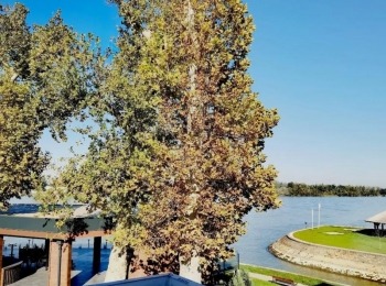 464356577 18255493564266509 6006233133841366561 n